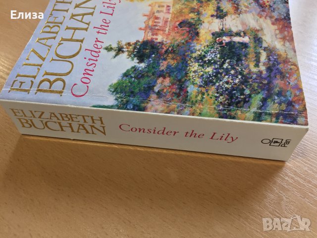 Consider the Lily - Elizabeth Buchan, снимка 4 - Художествена литература - 38650513