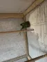 Продавам Китайски Александър, снимка 4