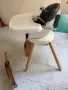 Детско столче Chipolino Rotatable High chair 3 in 1 Rotto, снимка 3