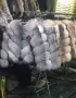 дамски палта от естествена кожа, снимка 3