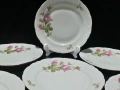 Стар полски порцелан чинии за основно , снимка 2