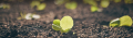 АГРИТА ТРЕЙД - онлайн магазин за препарати, торове, семена и градински инвентар, снимка 1