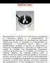Дистанционнен ДНК анализ на организма , снимка 11