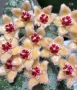 Хоя. Hoya Caudata Gold , снимка 1
