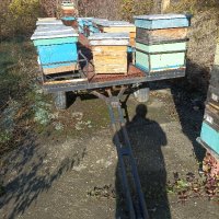 пчеларска платформа , снимка 4 - За пчели - 42864761