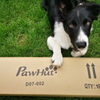 Комплект за игра на открито за домашни любимци Pawhut, снимка 4 - За кучета - 36886598