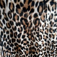 Красива рокля с леопардов принт, снимка 3 - Рокли - 30223621