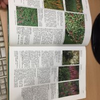 Цветна Енциклопедия - A-Z of perennials -Successful Gardening, снимка 10 - Енциклопедии, справочници - 30873235