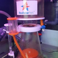 RED STARFISH Протеин СКИМЕР SC-180, снимка 1 - Оборудване за аквариуми - 39389966