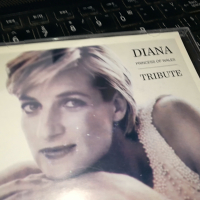 DIANA TRIBUTE X2 CD 0603241716, снимка 3 - CD дискове - 44638680