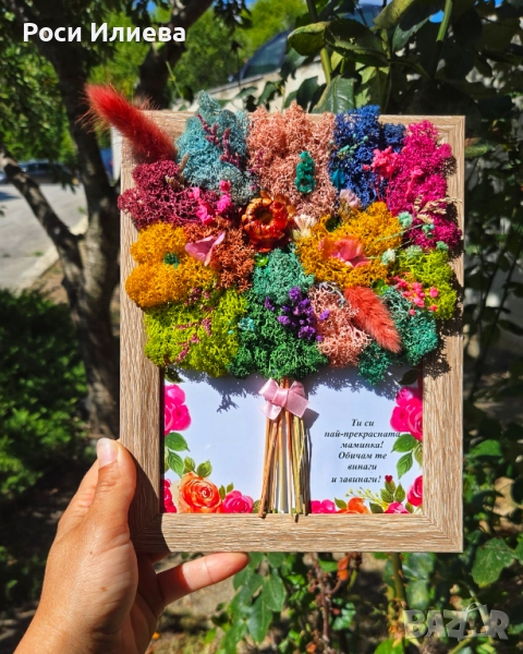 Различни цветни картини букети декорирани с естествен скандинавски мъх, снимка 1