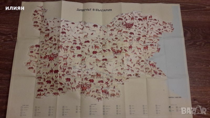 Карта на животните във България , снимка 1