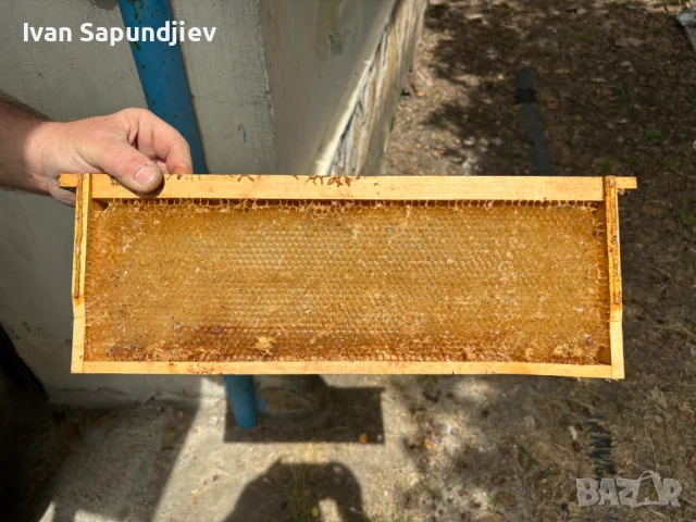 Рамки за кошери