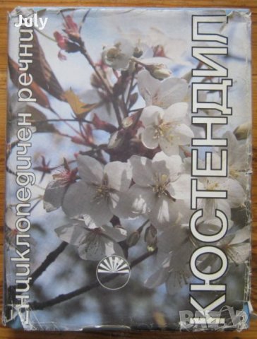 Кюстендил. Енциклопедичен речник, Колектив