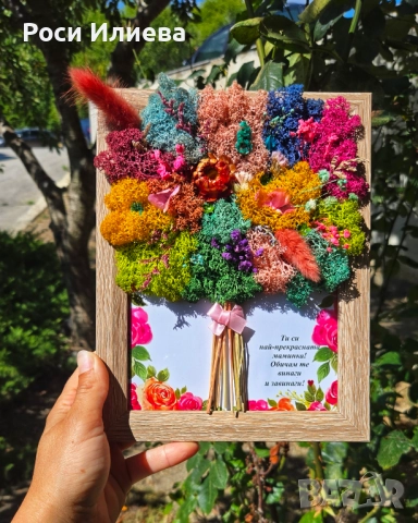 Различни цветни картини букети декорирани с естествен скандинавски мъх