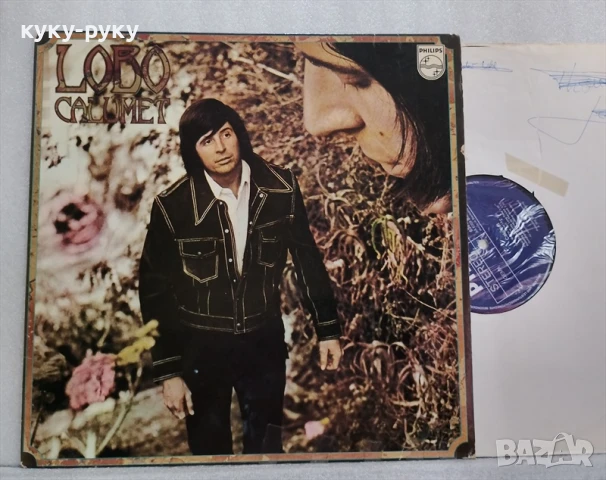 Грамофонни плочи, снимка 2 - Грамофонни плочи - 51045434