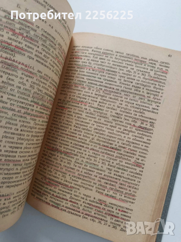 Анатомия 1947г, снимка 8 - Специализирана литература - 54030750