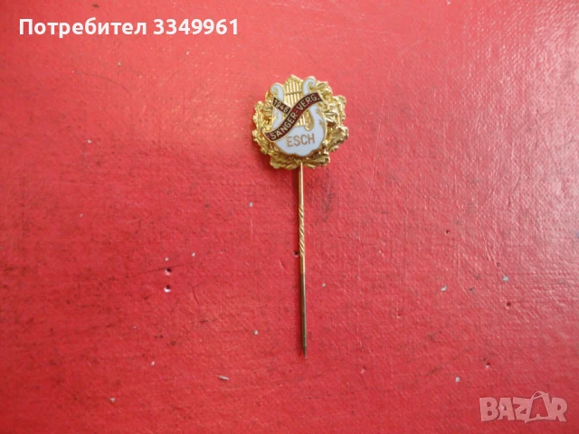 Знак значка с емайл TV ESCH 1893, снимка 3 - Колекции - 51367786