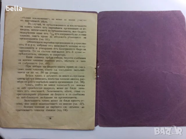 Антикварна Членска книжка Демократическа партия 1908, снимка 6 - Антикварни и старинни предмети - 49300729