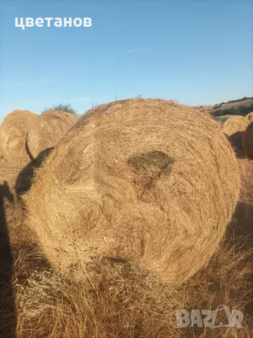 Балирано зелено сено