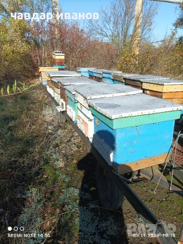 пчеларска платформа , снимка 7 - За пчели - 42864761