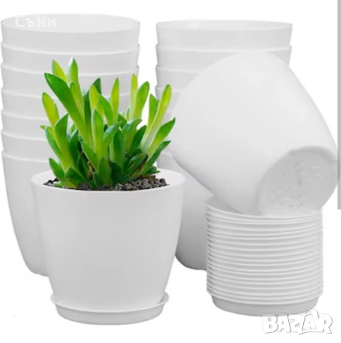 Бели саксии + тревна смеска 