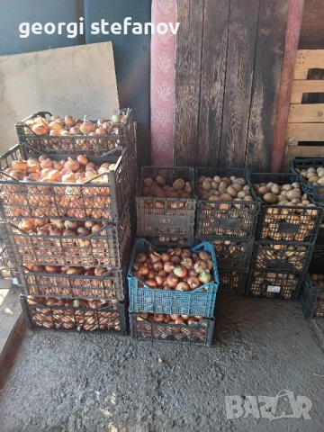 продавам  картофи сорая.