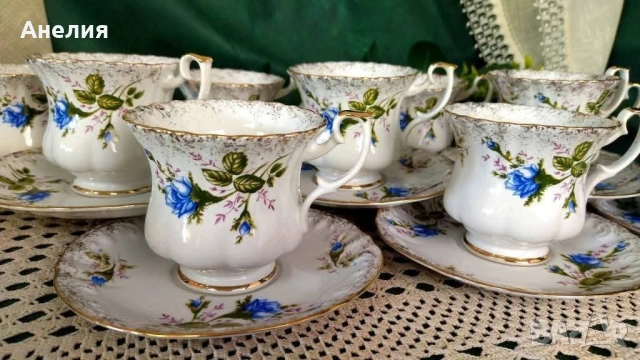 Chodziez Poland синя роза красота 