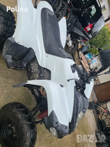 2 ATV Herkules Adly , снимка 7 - Мотоциклети и мототехника - 52031774