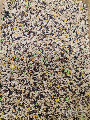 Смес/храна за канари класик, снимка 3 - Канари - 14923185