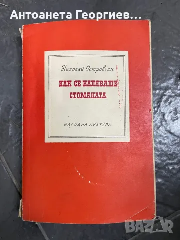 Николай Островски - Как се каляваше стоманата, снимка 1 - Други - 49229985