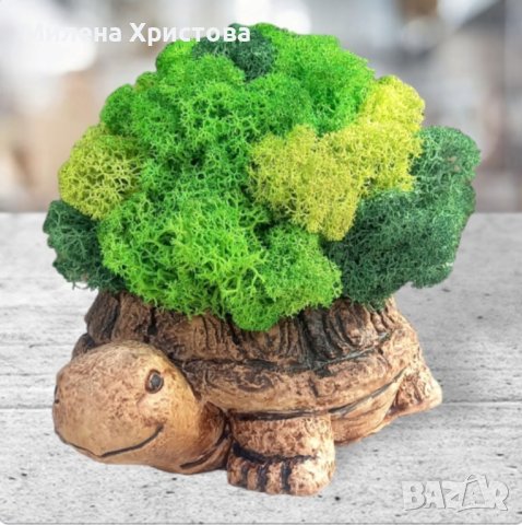 Кашпи "Костенурки" със скандинавски мъх , снимка 3 - Картини - 42322022