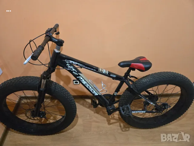 Fat          bike