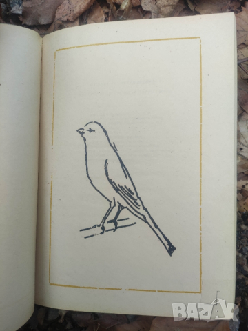 Продавам книга "Ръководство за пойното канарче Ватерслагер (малиноа)  -Люк ван Ролен, Густав Лелиевр