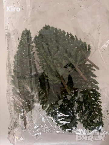 Дървета за диорами, снимка 2 - Колекции - 52016800