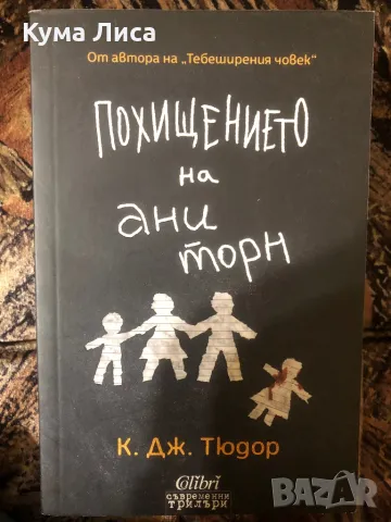 Похищението на Ани Торн - К. Дж. Тюдор, снимка 1