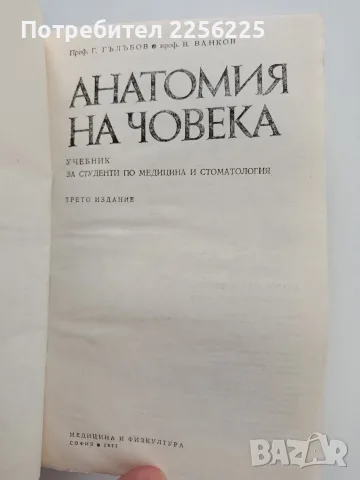 Анатомия на човека