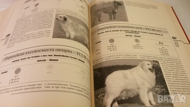 Световна енциклопедия на кучетата - Венелин Динчев, снимка 13 - Енциклопедии, справочници - 54083830