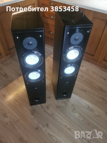 Тонколони audiophile, снимка 7 - Тонколони - 52806904