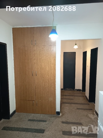 Стая , снимка 5 - Стаи под наем - 54069979