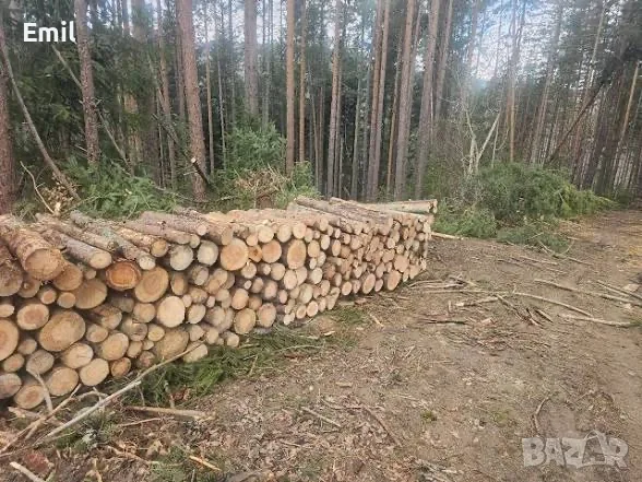 дърва за огрев на метър-бор, снимка 3 - Дърва за огрев - 55979630