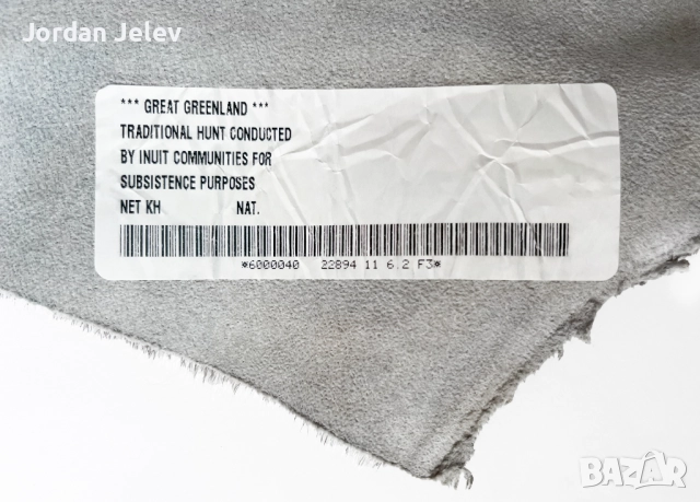 Автентична кожа от пръстенчат тюлен традиционен лов на инуитите в Гренландия., снимка 3 - Декорация за дома - 51514391