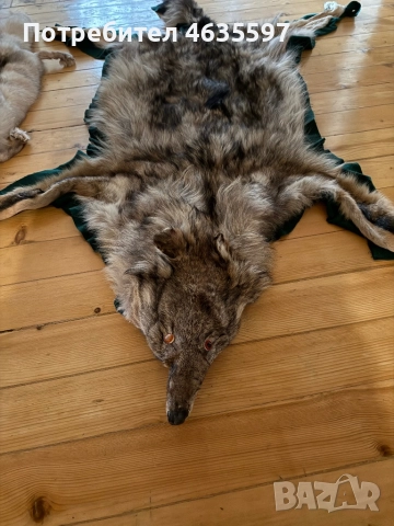 Кожа от вълк и шал,яка от лисица, снимка 4 - Арт сувенири - 52212264