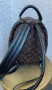 Чанта Раница Louis Vuitton, снимка 4