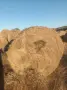 Балирано зелено сено, снимка 1