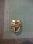 Значка "Отрядник отличник", снимка 1