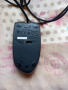 2 бр. мишки: Razer Deathadder 2013, Genius DX-100, снимка 4