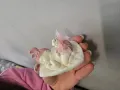 ~•°Гипсови фигурки "Спящо бебче"°•~, снимка 13