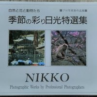 Японски картички и книги за изкуство, снимка 11 - Чуждоезиково обучение, речници - 39424418