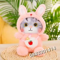 Плюшени облечени котета в различни цветове , снимка 2 - Плюшени играчки - 42547858